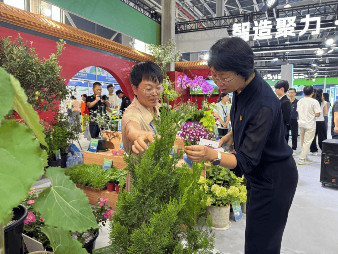 北京市統(tǒng)計(jì)局局長(zhǎng)李素芳赴通州調(diào)研種業(yè)與現(xiàn)代農(nóng)業(yè)發(fā)展，強(qiáng)調(diào)科技賦能與數(shù)據(jù)支撐